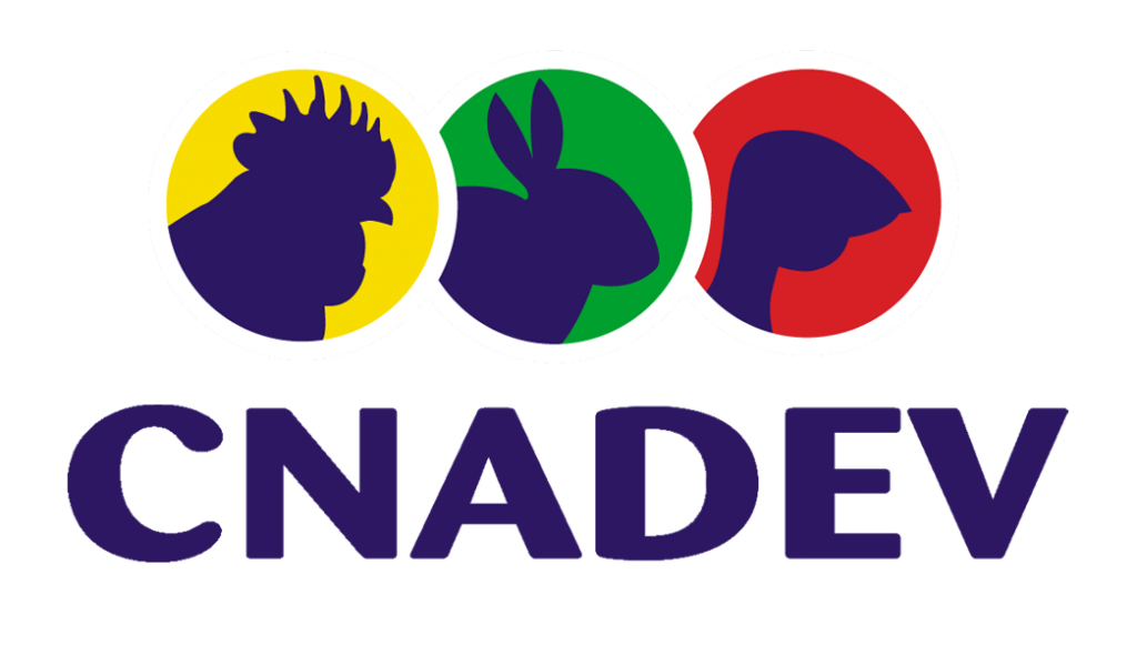 Logo-cnadev-client-idcomservices
